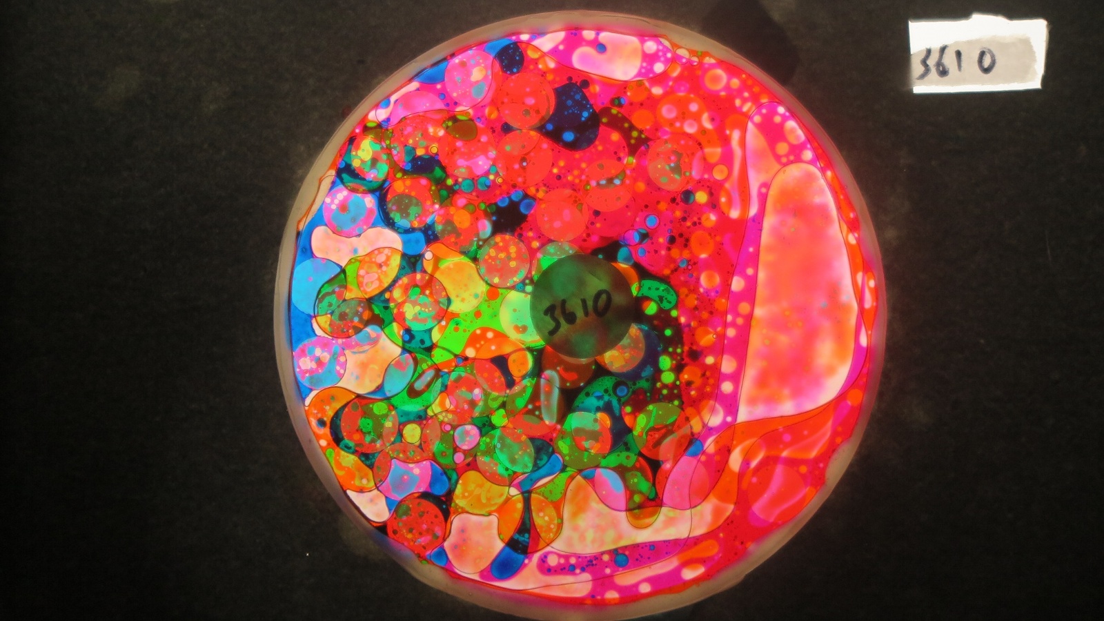 BV3610 bubble vision oil wheel